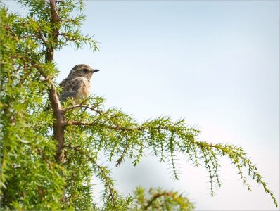 240725.01.JPG 240725.01.JPG