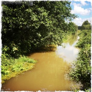 150726-FS10.jpg 150726-FS10.jpg