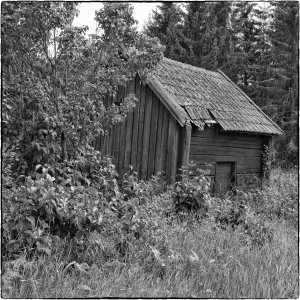 240726-Fs-1år.jpg 240726-Fs-1år.jpg