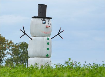 240726.01.JPG 240726.01.JPG