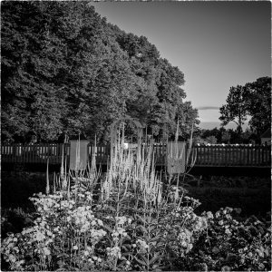 240728-Fs-1år.jpg 240728-Fs-1år.jpg