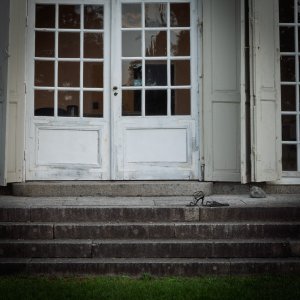 FS-Footw-250728.jpg FS-Footw-250728.jpg