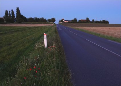 240730.01.JPG 240730.01.JPG