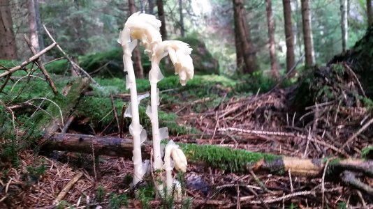 2015-08-01.jpg 2015-08-01.jpg