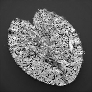 240802.01.JPG 240802.01.JPG