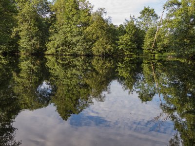 2015-08-03.jpg 2015-08-03.jpg