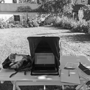 150804-FS10.jpg 150804-FS10.jpg