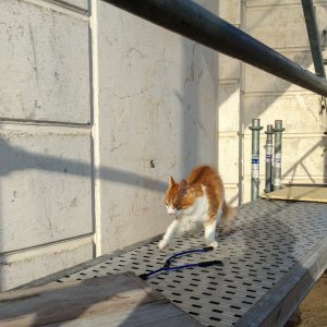 150806-FS10.jpg 150806-FS10.jpg