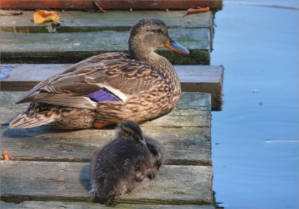 240807.01.JPG 240807.01.JPG