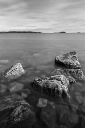 _N0A7995_bw.jpg _N0A7995_bw.jpg