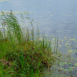 240816-Fs-1år.jpg 240816-Fs-1år.jpg