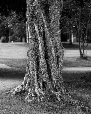 _N0A8042_bw2.jpg _N0A8042_bw2.jpg