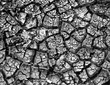 240818.01.JPG 240818.01.JPG