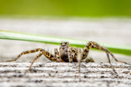 20200804-122.jpg 20200804-122.jpg