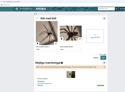 Screenshot 2025-08-19 073710.png