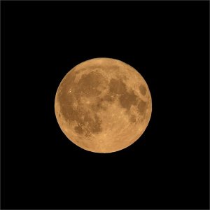 240819.01.JPG 240819.01.JPG