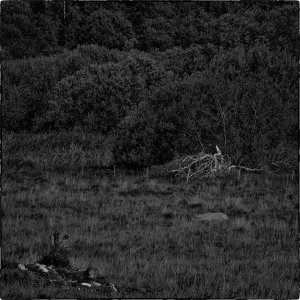 240820-Fs-1år.jpg 240820-Fs-1år.jpg