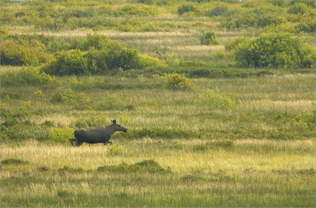 240820.01.JPG 240820.01.JPG