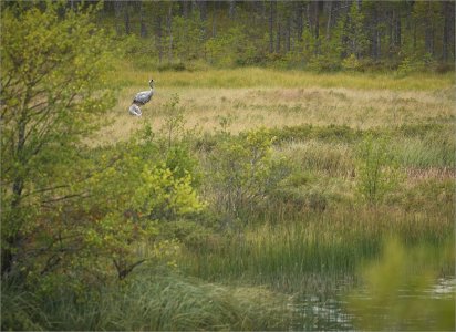 240824.01.JPG 240824.01.JPG