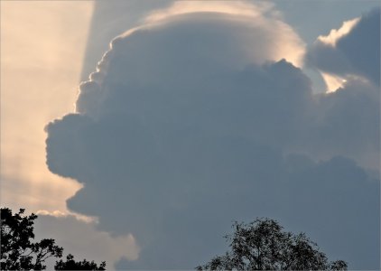 240829.01.JPG 240829.01.JPG