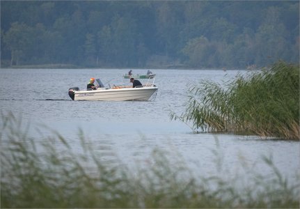 Fs Båtliv 250829.JPG