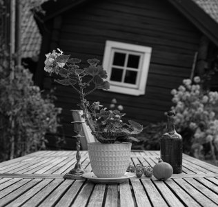 240830-Fs-1år.jpg 240830-Fs-1år.jpg