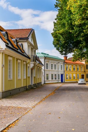 _N0A8236.jpg _N0A8236.jpg