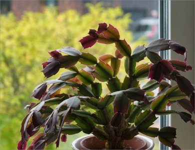 240902.01.JPG 240902.01.JPG