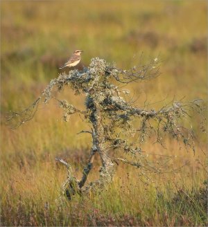 240903.02.JPG 240903.02.JPG