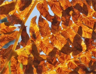 150907.01.JPG 150907.01.JPG