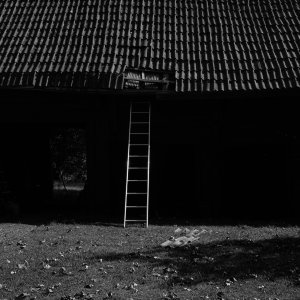 240908-Fs-1år.jpg 240908-Fs-1år.jpg