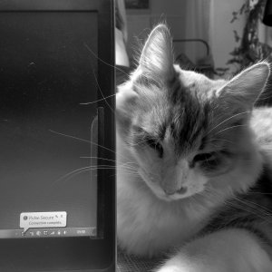 150909-FS10.jpg 150909-FS10.jpg