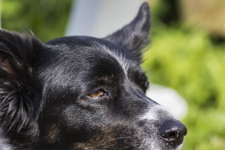 2015-09-09.jpg 2015-09-09.jpg