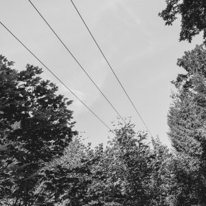 150910-FS10.jpg 150910-FS10.jpg