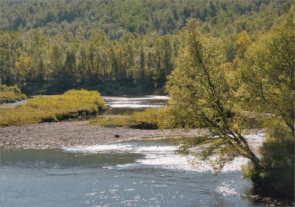 150911.01.JPG 150911.01.JPG