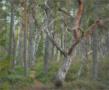 240911.01.JPG 240911.01.JPG