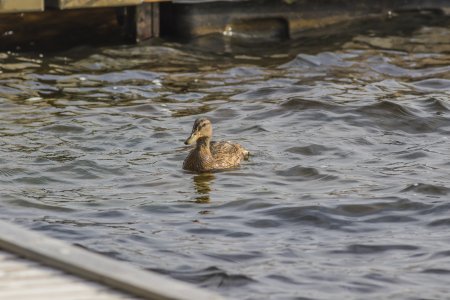 2015-09-12.jpg 2015-09-12.jpg