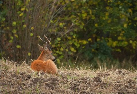 240912.02.JPG 240912.02.JPG