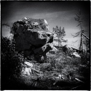 240915-Fs-1år.jpg 240915-Fs-1år.jpg