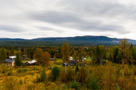 _N0A8477.jpg _N0A8477.jpg