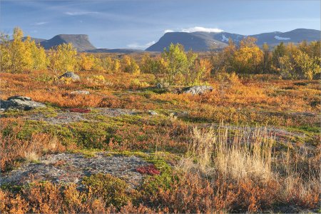 150915.01.JPG 150915.01.JPG