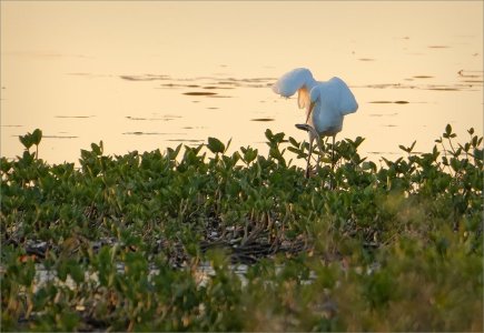 240915.01.JPG 240915.01.JPG