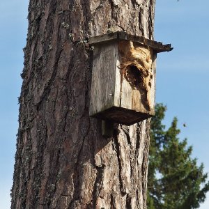 SNOO7852_fel hyresgäster.JPG SNOO7852_fel hyresgäster.JPG