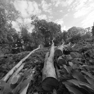 240923-Fs-1år.jpg 240923-Fs-1år.jpg