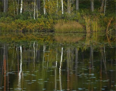 240923.04.JPG 240923.04.JPG