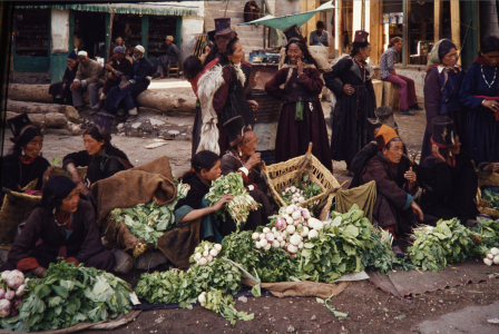 1758904335031.png 1758904335031.png