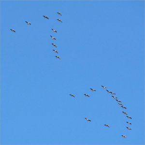 240929.01.JPG 240929.01.JPG