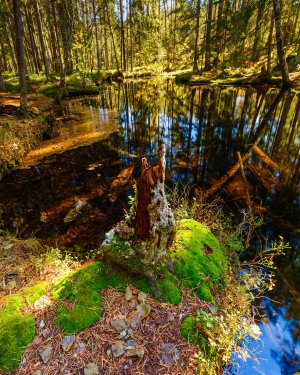 _MG_0137-HDR.jpg _MG_0137-HDR.jpg