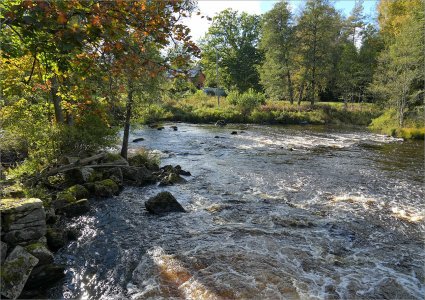 241003.01.JPG 241003.01.JPG