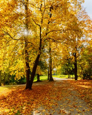 _N0A8724-HDR.jpg _N0A8724-HDR.jpg